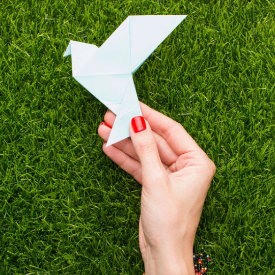 Imatge representativa del projecte